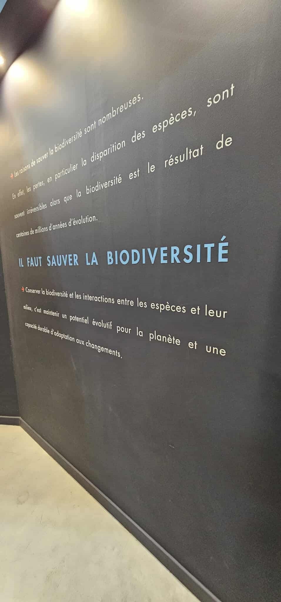 Greenbattle : deux lauréats : IESPP Mons et IPES Ath !