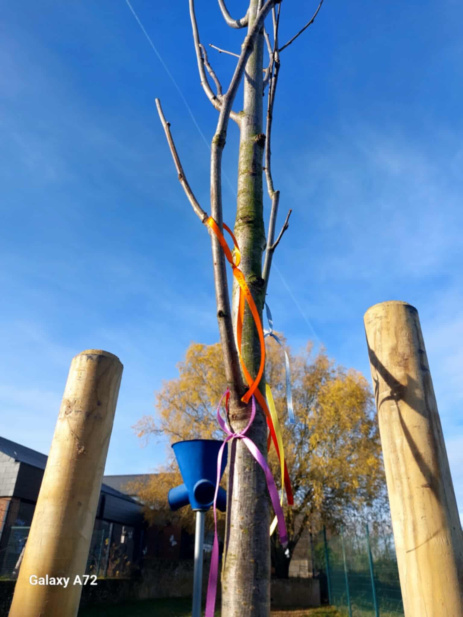 Ce 9 décembre, un sorbier a été planté à l’Orée du bois !