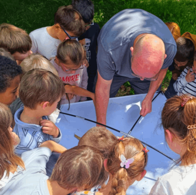 insecte bio diversité école environnement durable vert