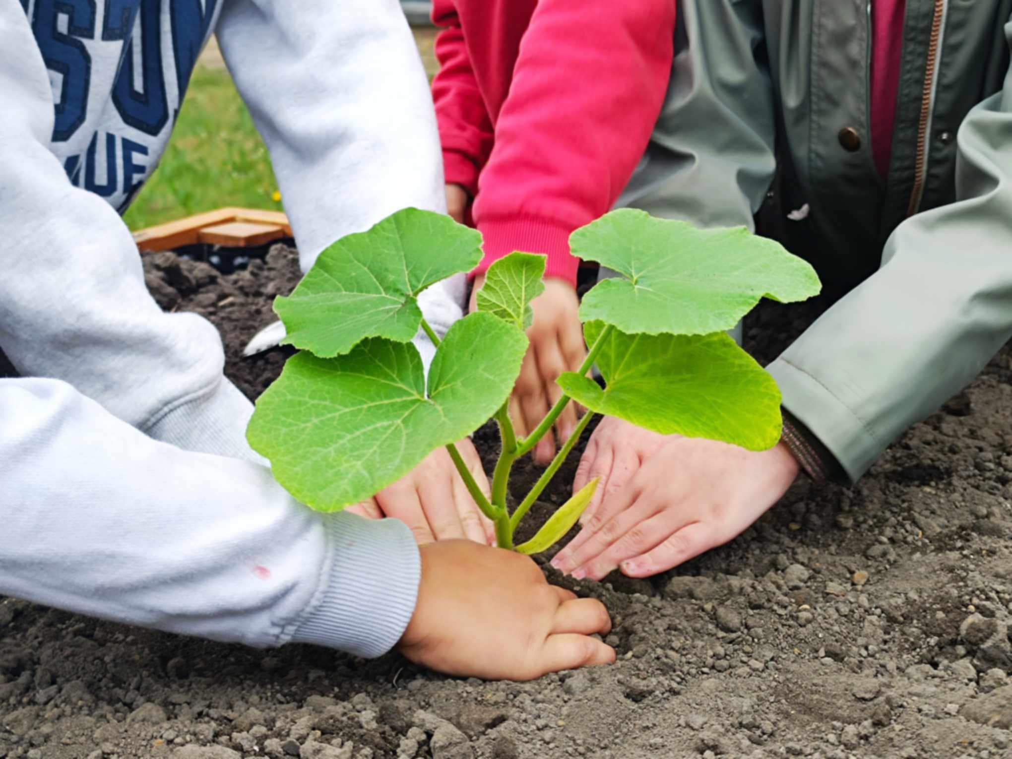 La cellule Développement Durable a animé un 1er atelier à l’Orée du Bois !