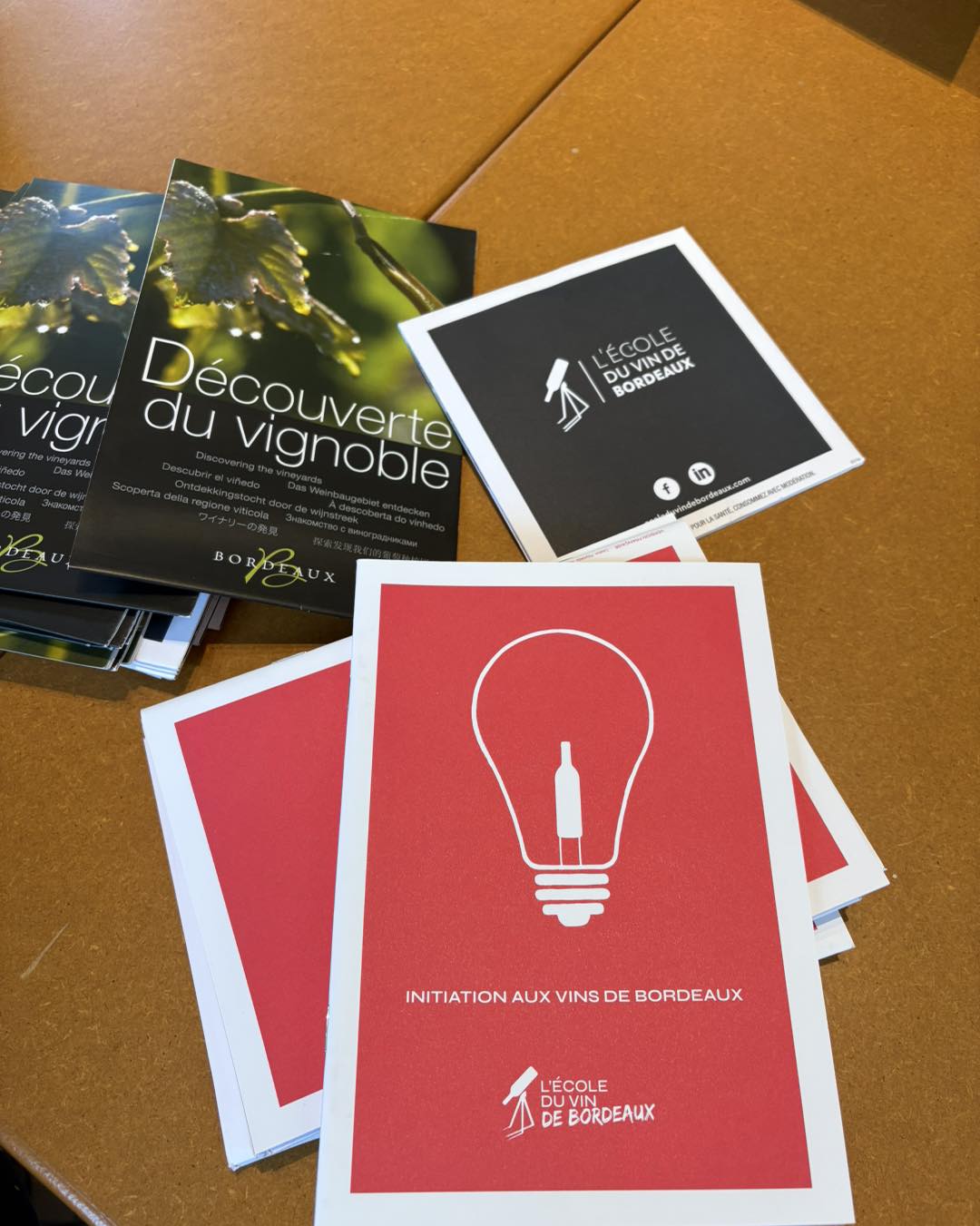 585910516 1420027270129800 6570043828216516765 n