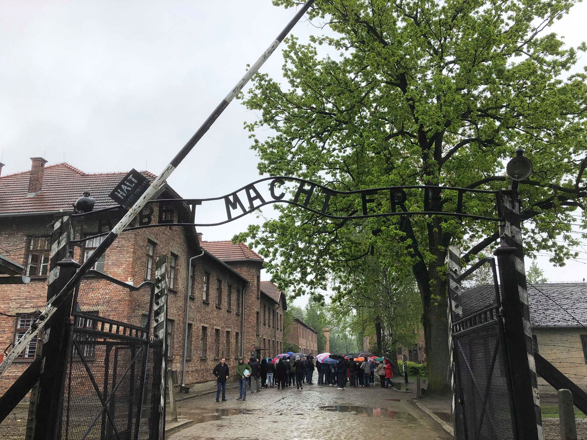 Le Lycée provincial Hornu-Colfontaine se rend à Auschwitz