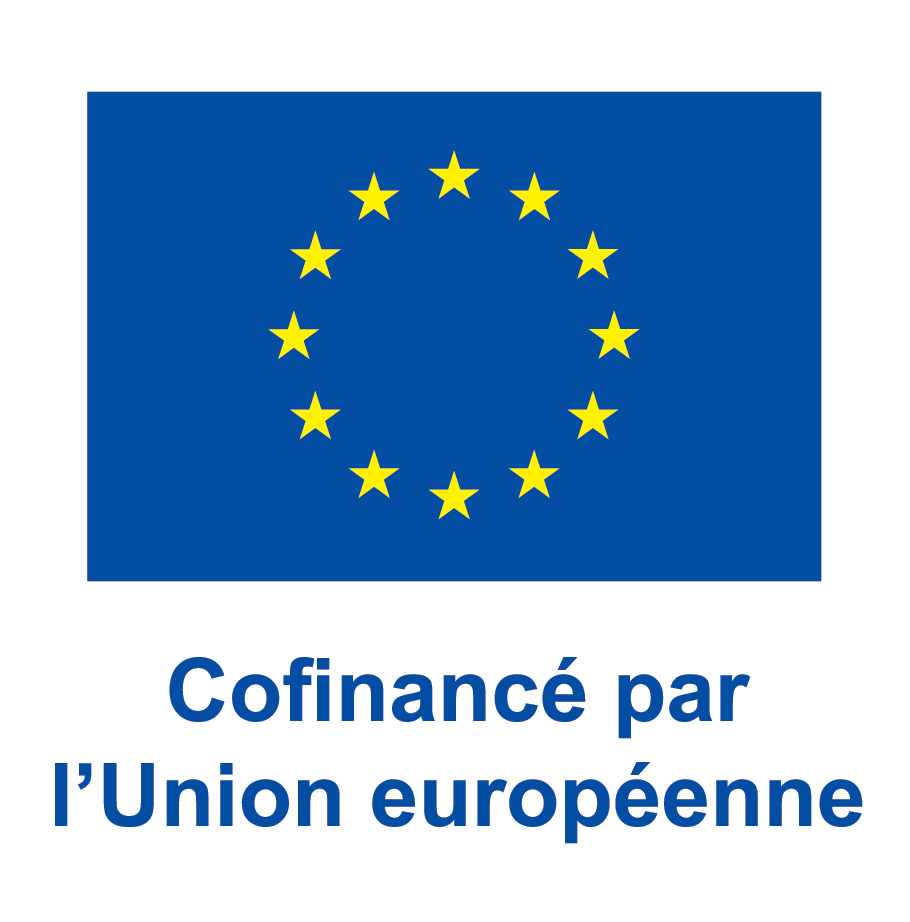 FSE Annexe 9 Logo européen