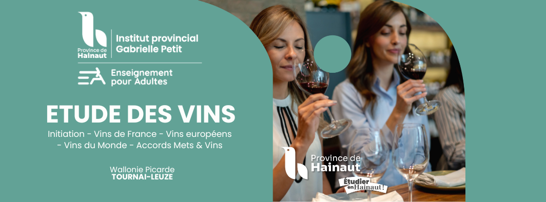 Etude des vins global