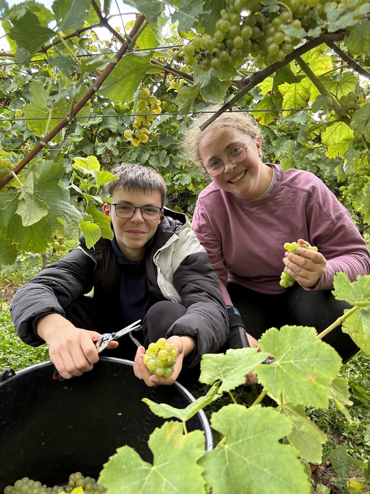 Traditionnelles vendanges au Domaine Degavre pour les élèves de l’IPES Ath
