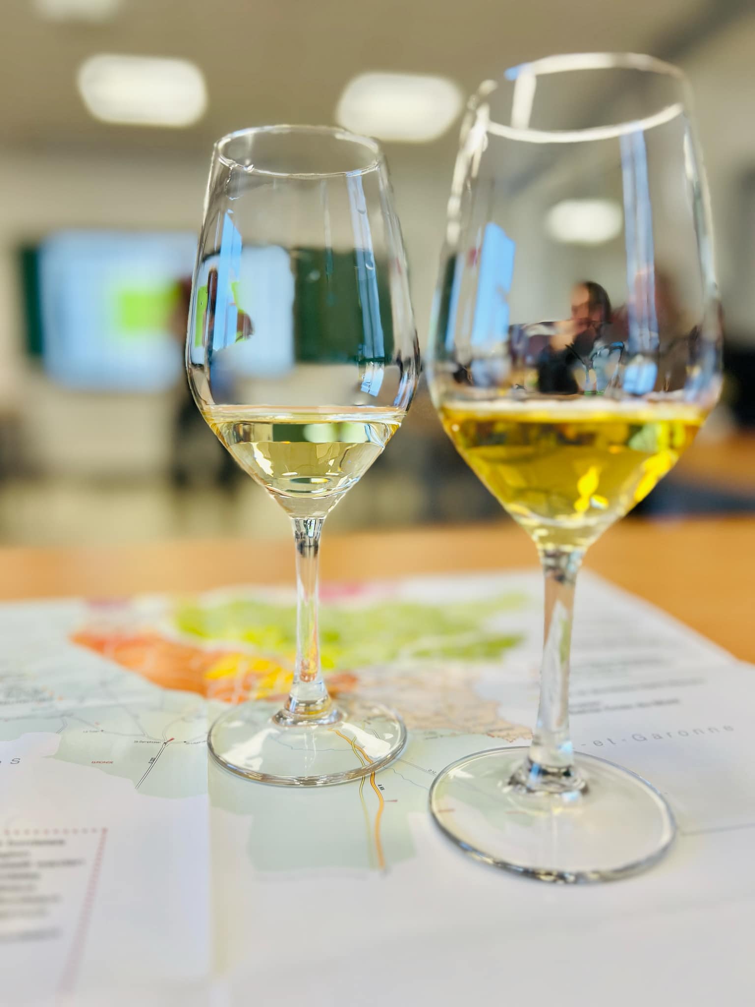 Une conférence sur les vins de Bordeaux pour les élèves de la PromSoc Mons-Borinage