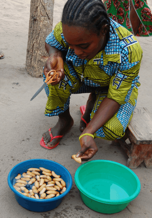 bénin site 3