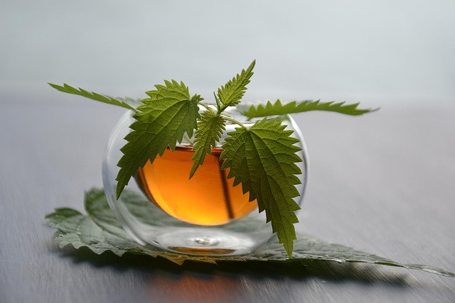 tea 3833598 640