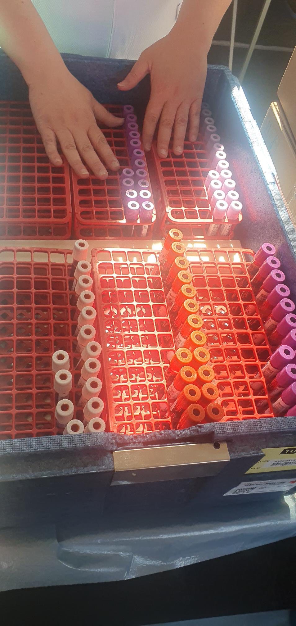 499394397_1205701278233500_2149898842736919281_n.jpg