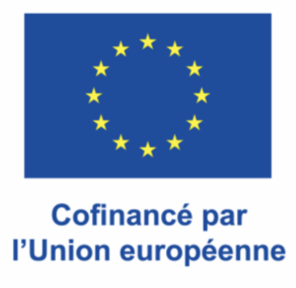 Logo_FSE