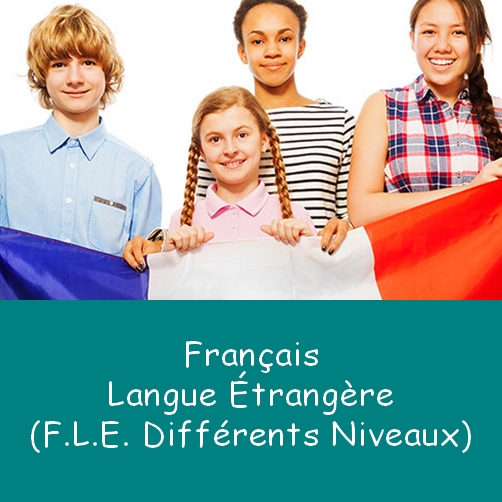 BT2024 FLE