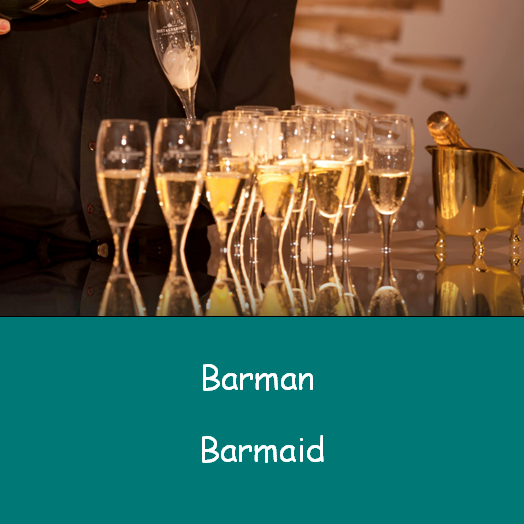Barman Barmaid