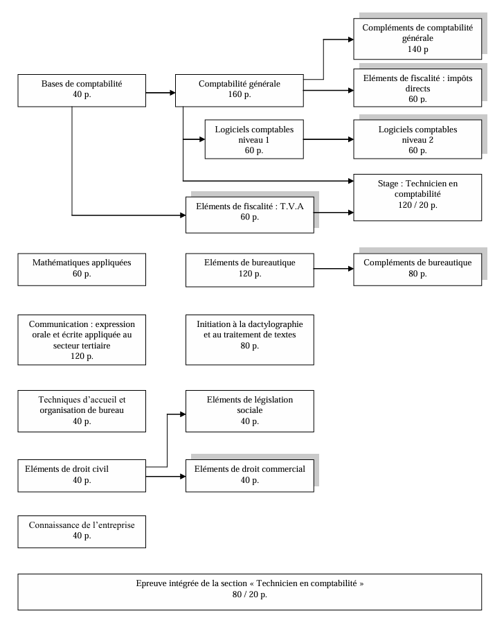 TC organigramme