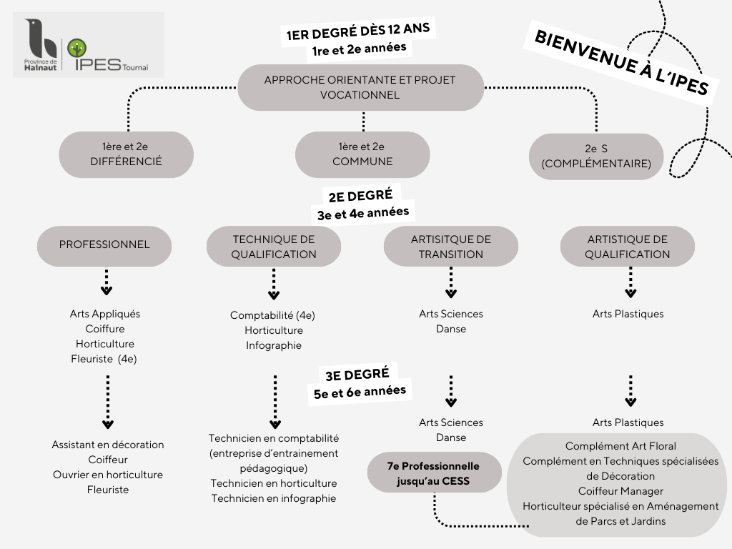 Organigramme IPES Site internet