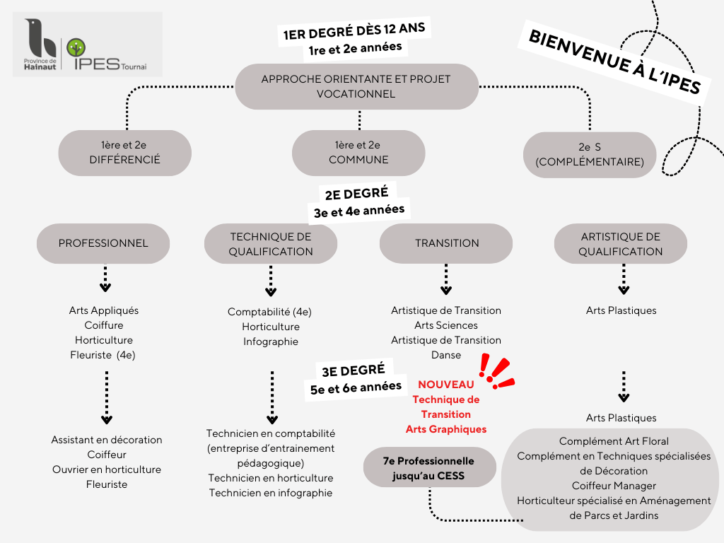 Organigramme IPES Site internet 2025 2026