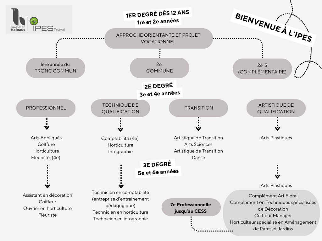 Organigramme IPES Site internet 2026 2027