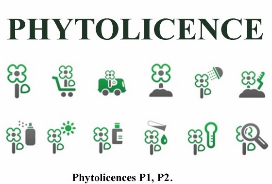 Phytolicence P2
